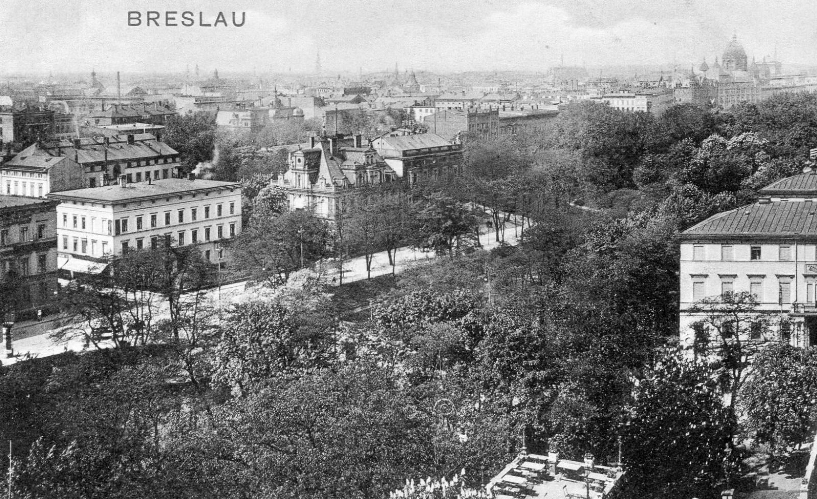 https://fotopolska.eu/foto/503/503194.jpg